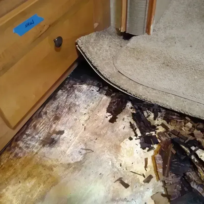 Best Wood Floor Water Damage Service in Shoreline, WA